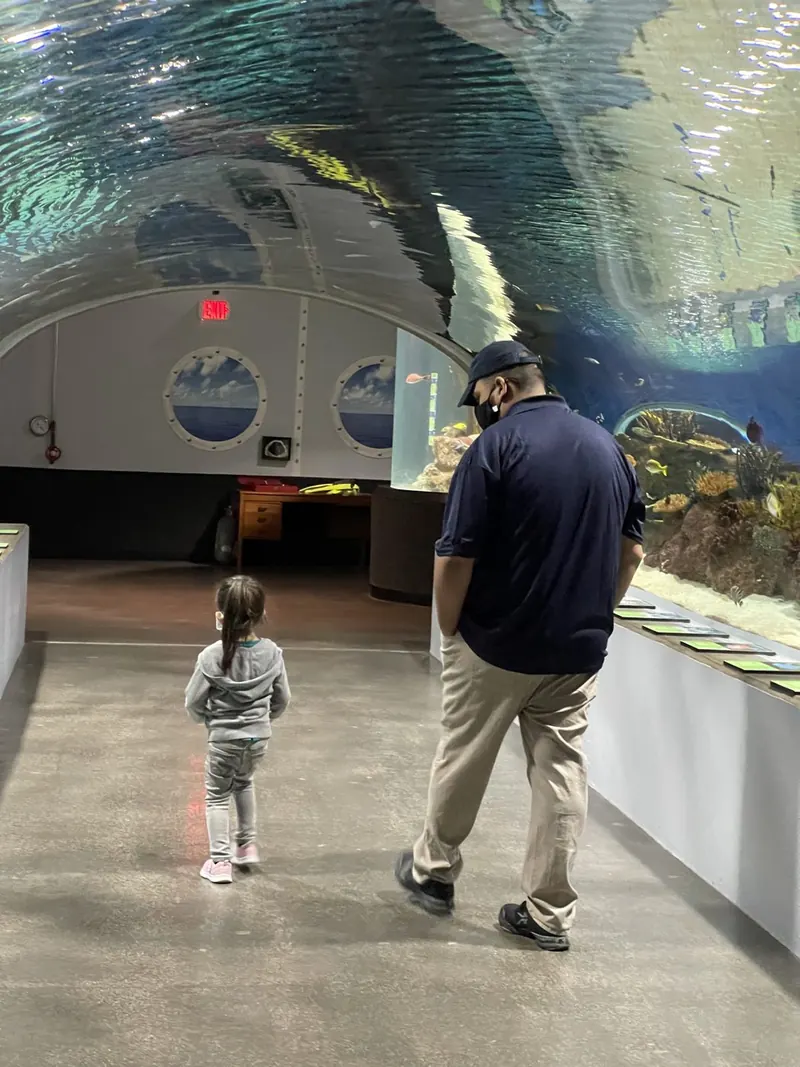 Brandon and his daughter walking under an aquarium tunnel, water overhead.