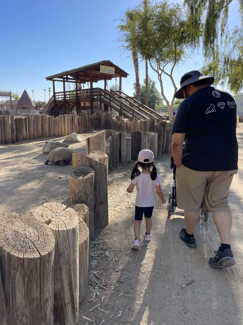 Brandon pushing a stroller down a zoo path, his daughter walking ahead in a pink hat, a tortoise behind the fence.